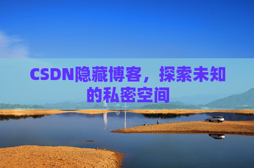 CSDN隐藏博客，探索未知的私密空间